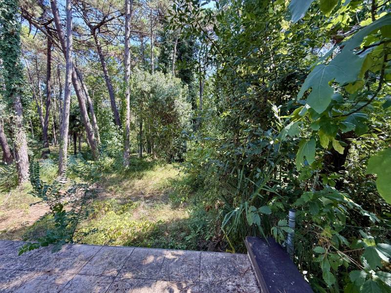 Appartamento Lignano Pineta, Lignano Sabbiadoro