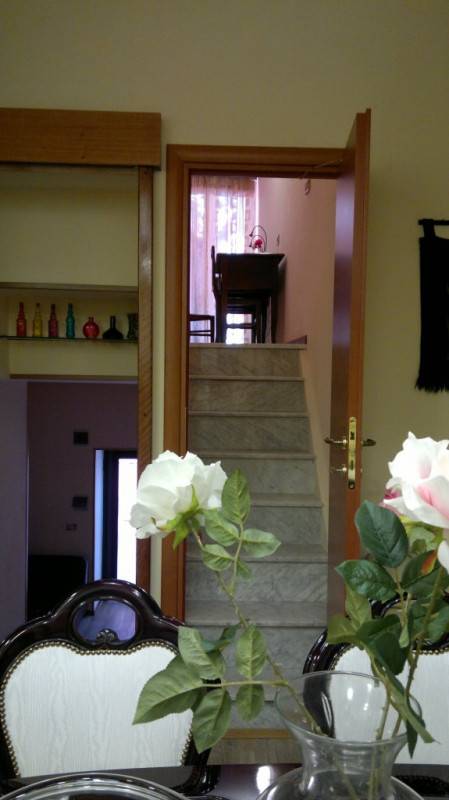  - foto 5