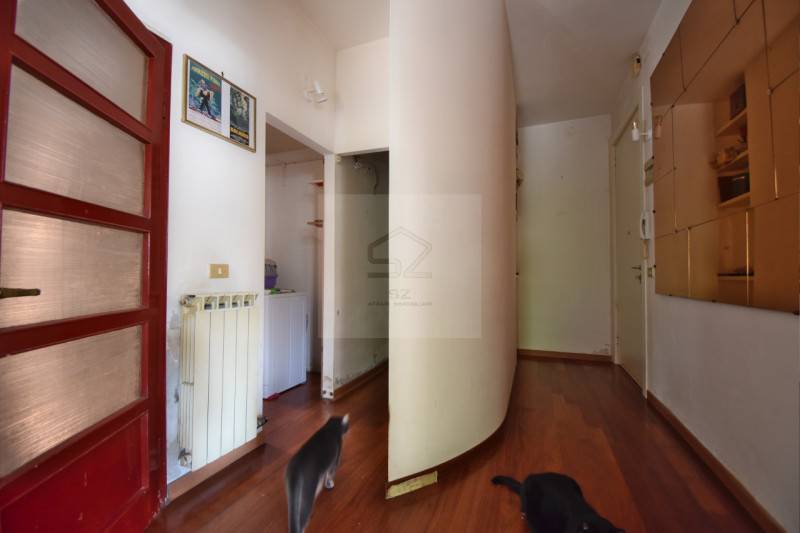  - foto 5