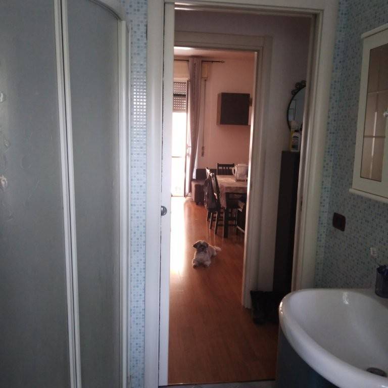  - foto 3