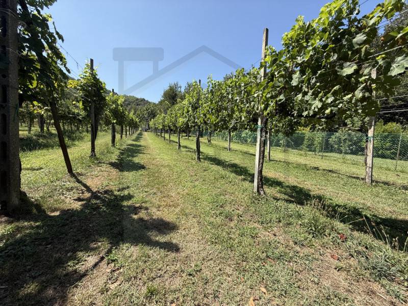Magazzino - Deposito Battaglia Terme, Battaglia Terme
