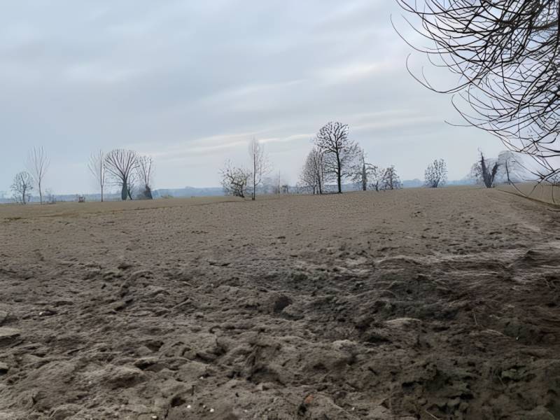  - foto 5