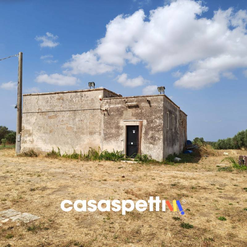 Terreno agricolo, Veglie