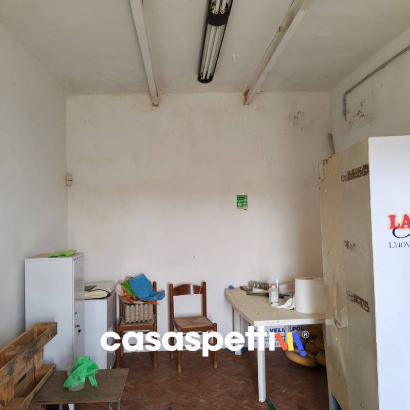  - foto 7