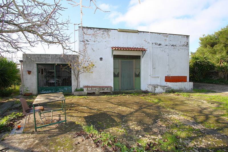  - foto 3