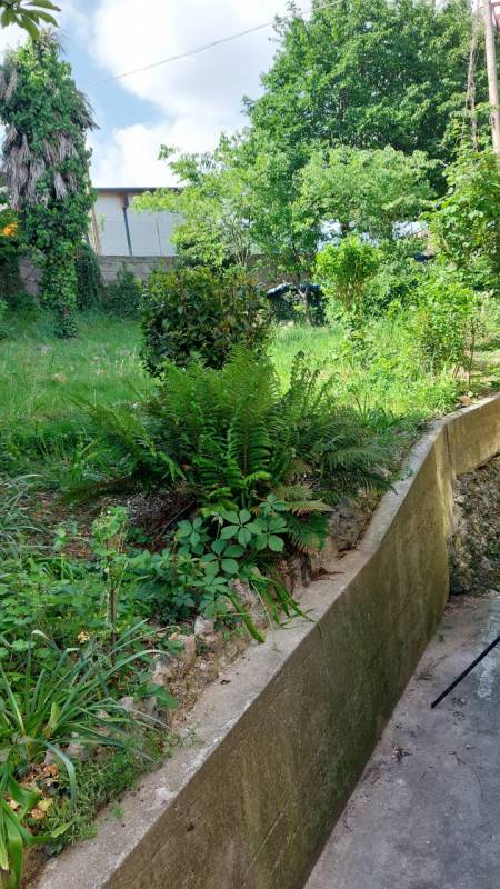  - foto 10