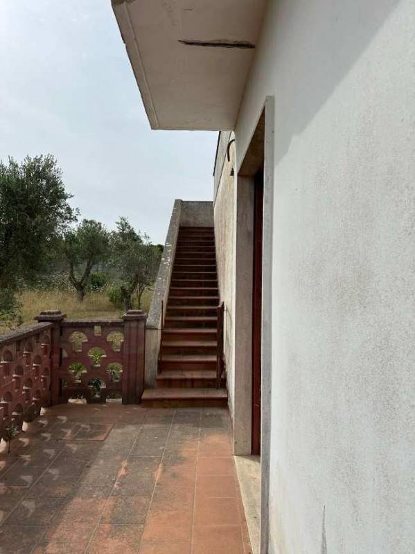  - foto 3