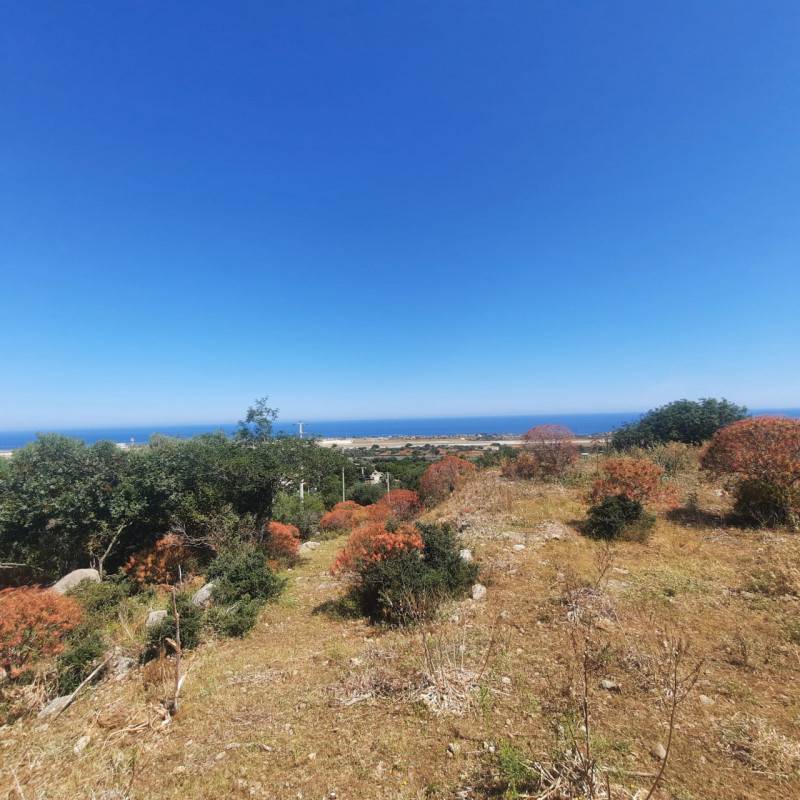 Terreno agricolo Cinisi, Cinisi
