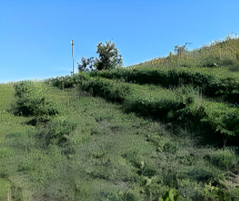  - foto 3
