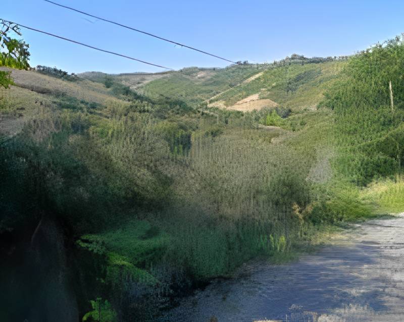  - foto 6