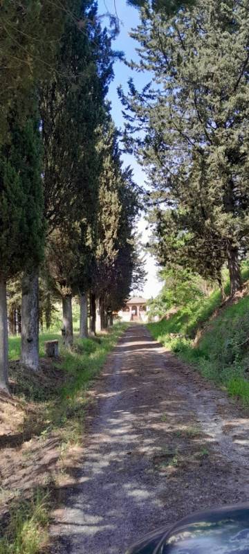 Rustico, Chiusi