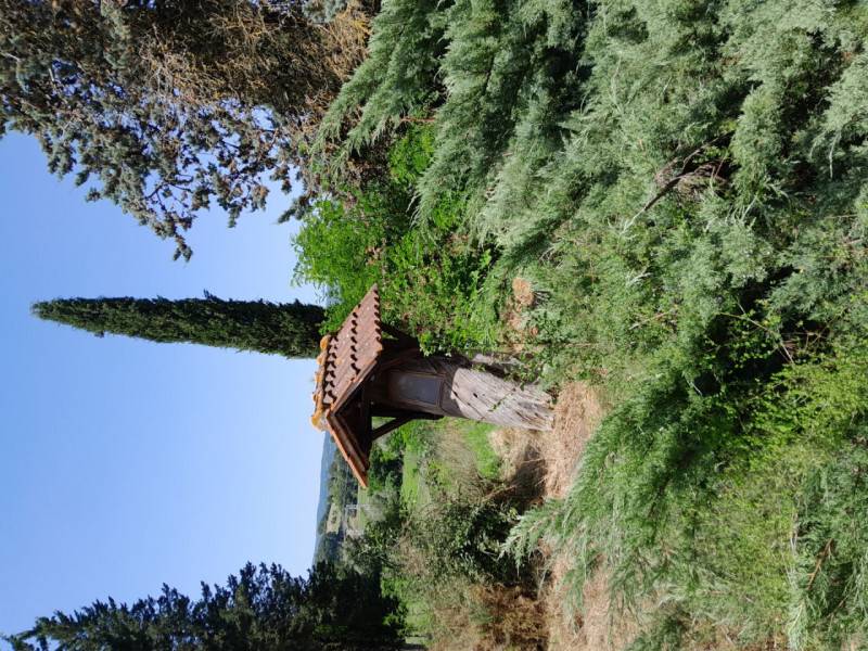  - foto 2