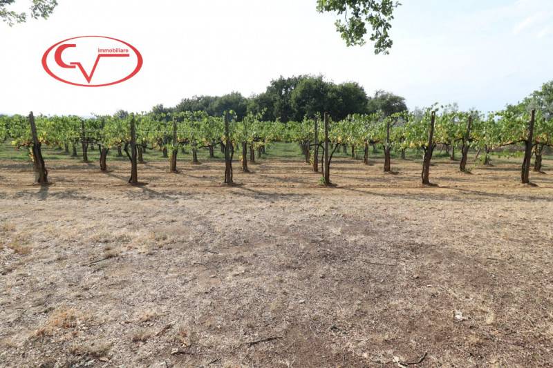 Terreno agricolo Miravalle, Montevarchi