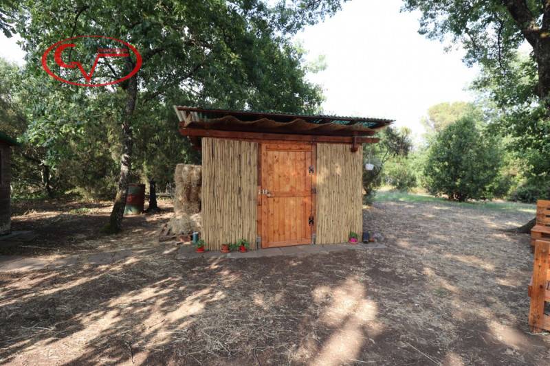  - foto 2