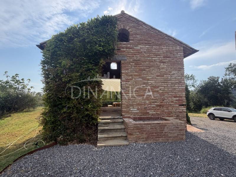 Rustico, Palaia