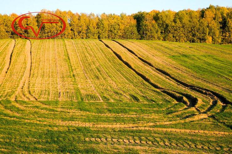 Terreno agricolo Figline Valdarno, Figline e Incisa Valdarno