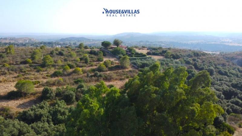 Villa Noto, Noto