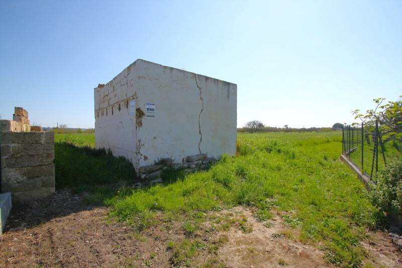  - foto 4