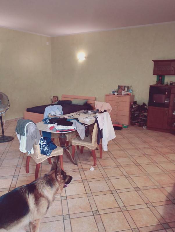  - foto 6