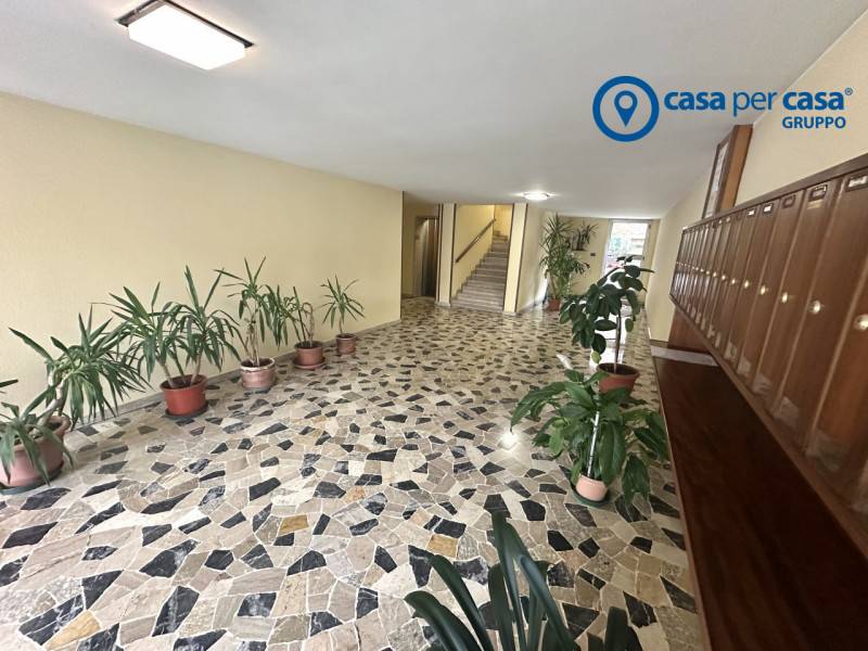 Ufficio Centro, Rovigo