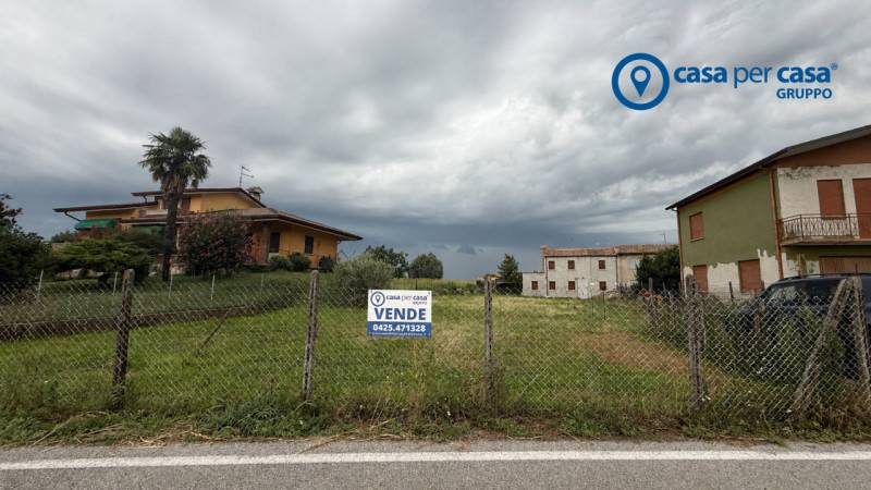 Altro Costa di Rovigo, Costa di Rovigo