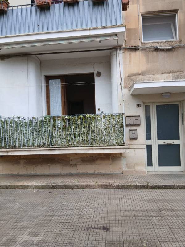  - foto 5