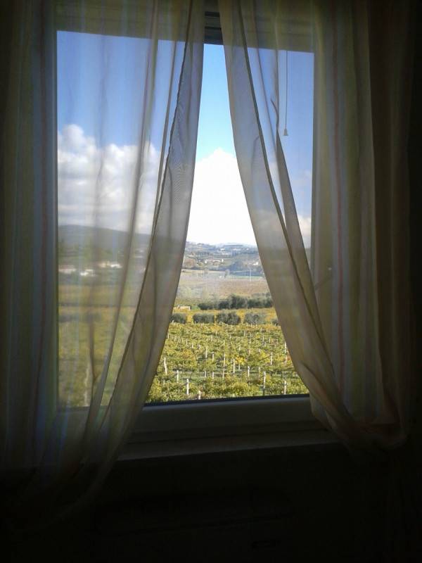  - foto 9