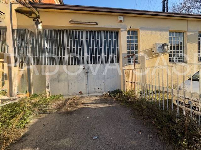  - foto 5