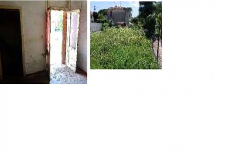  - foto 3