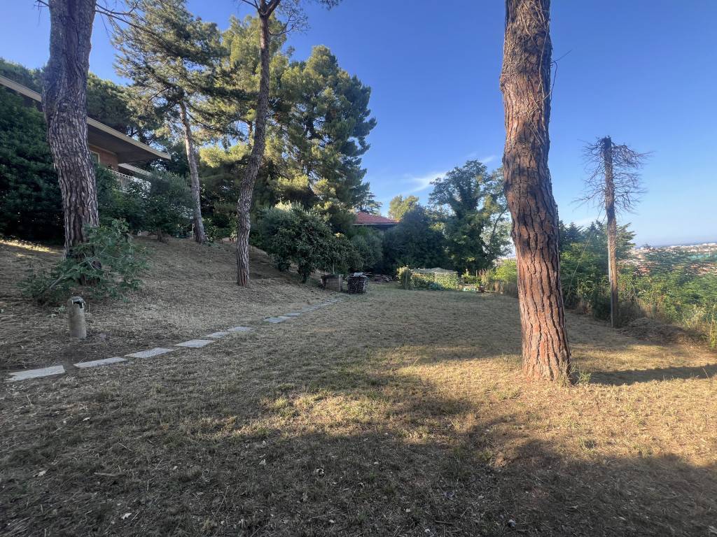  - foto 4