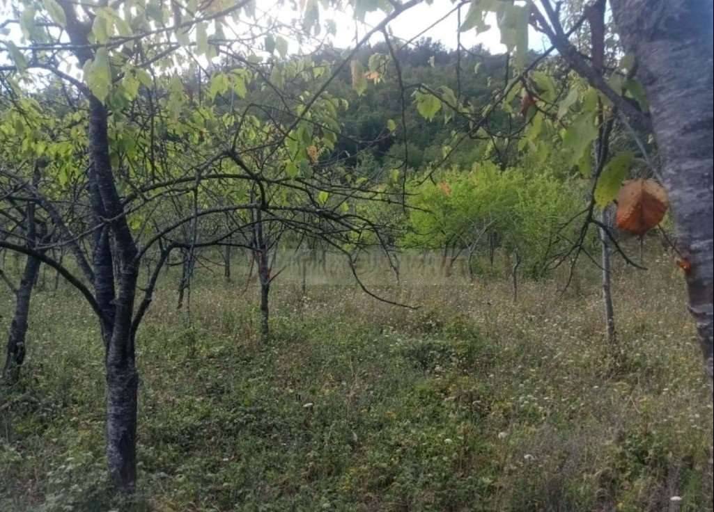  - foto 4