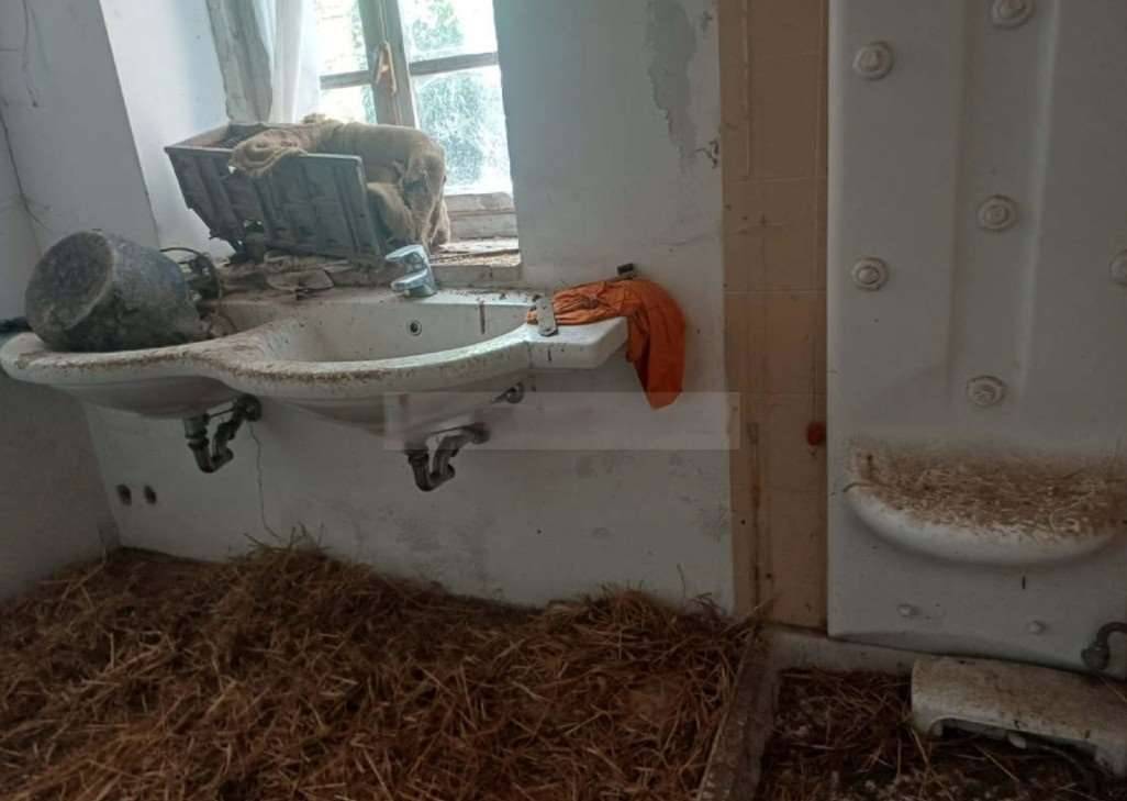  - foto 8