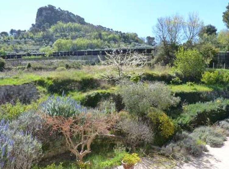  - foto 9