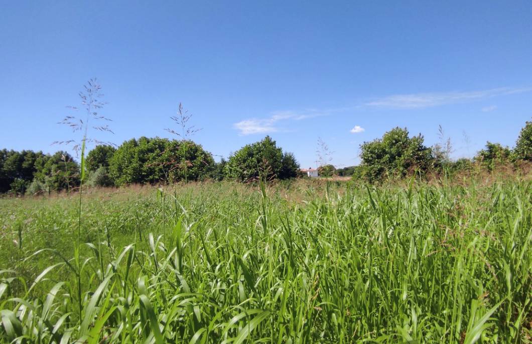 Terreno edificabile, Vicenza