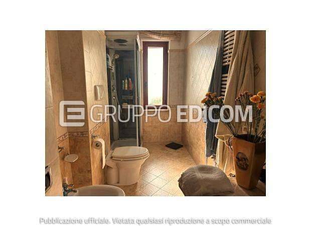  - foto 4