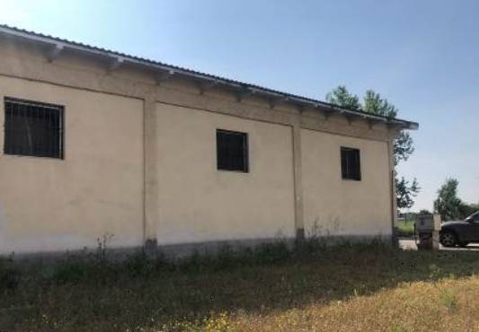  - foto 5
