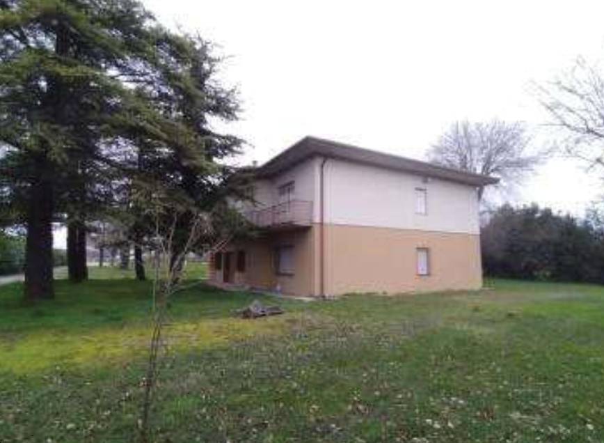  - foto 7
