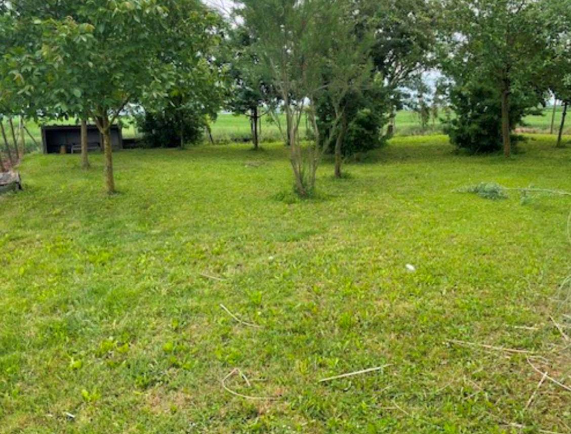  - foto 10