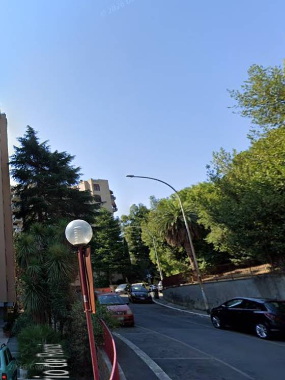  - foto 8