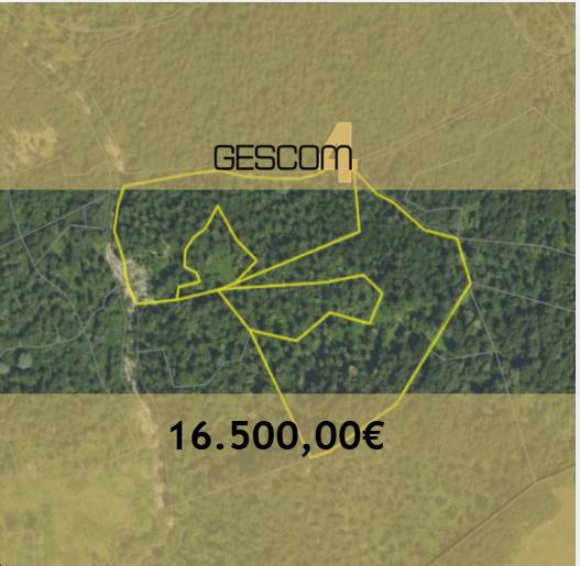 Terreno agricolo, San Benedetto Val di Sambro