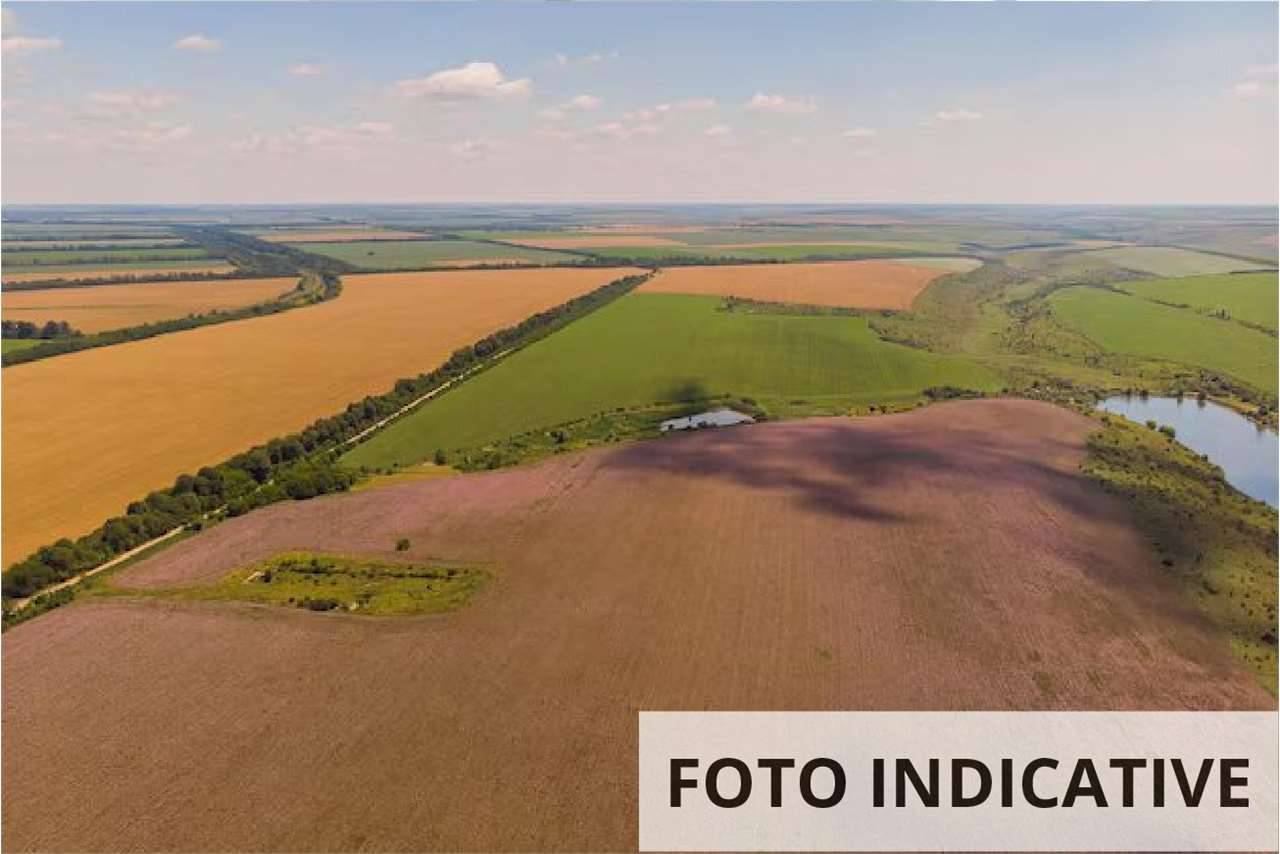  - foto 2