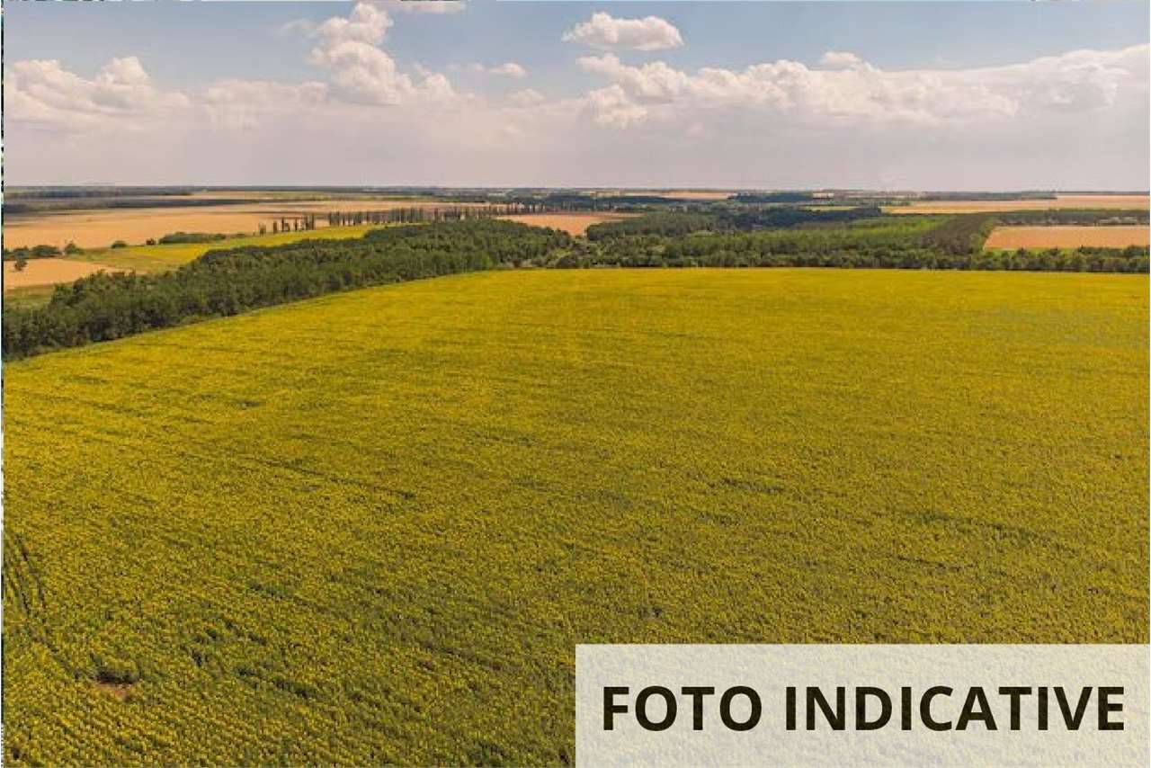  - foto 6