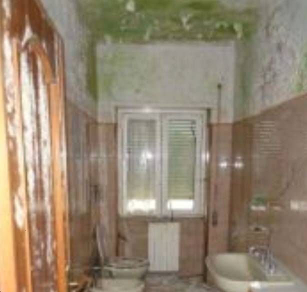  - foto 8