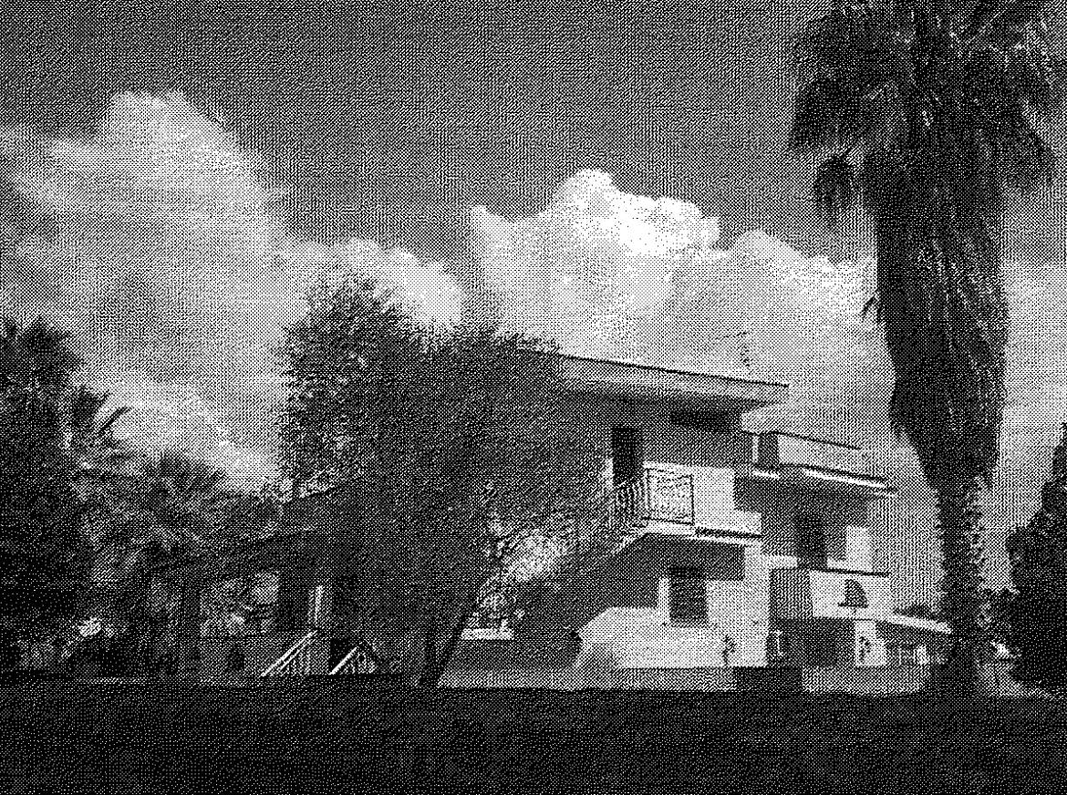  - foto 2