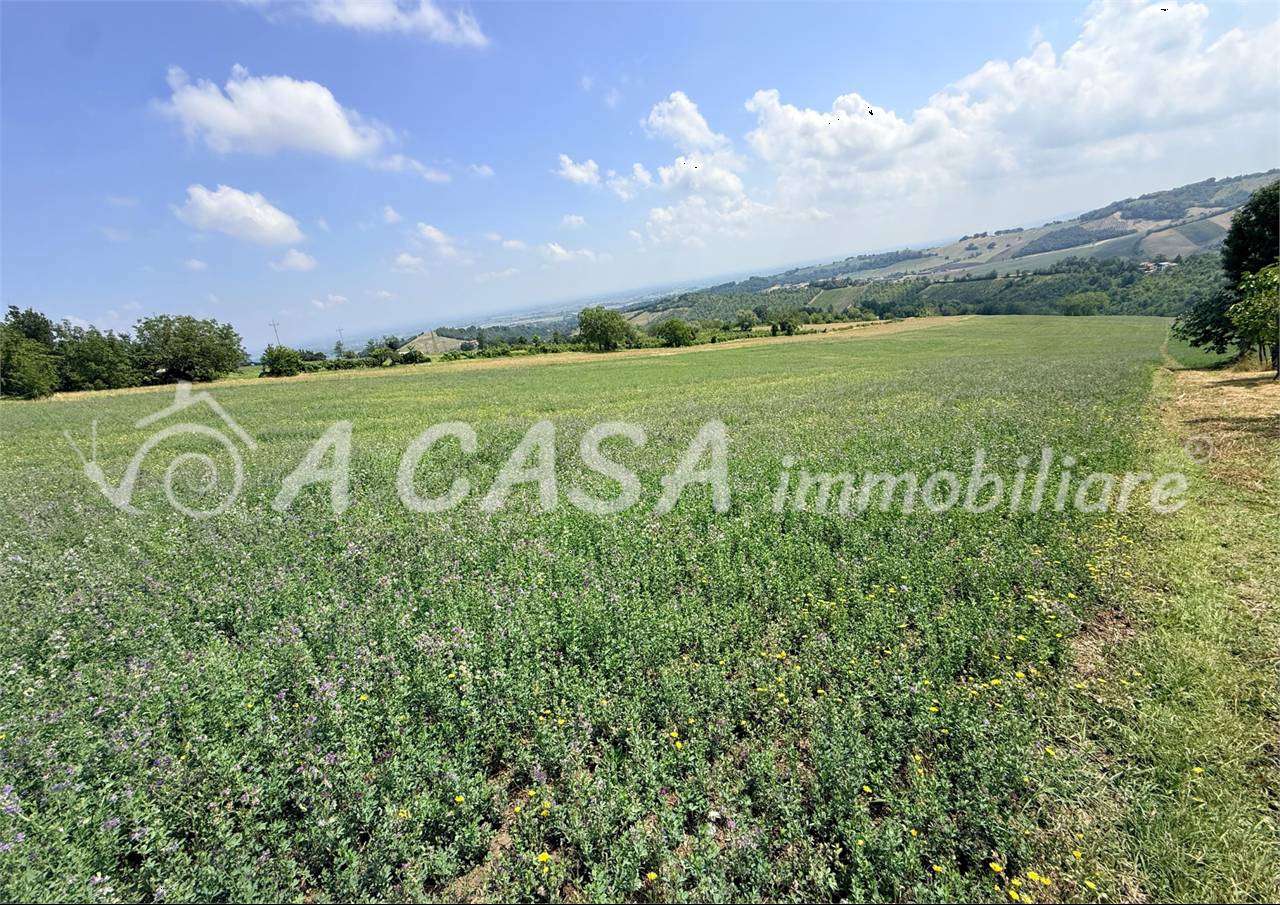 Terreno agricolo Barbiano, Felino
