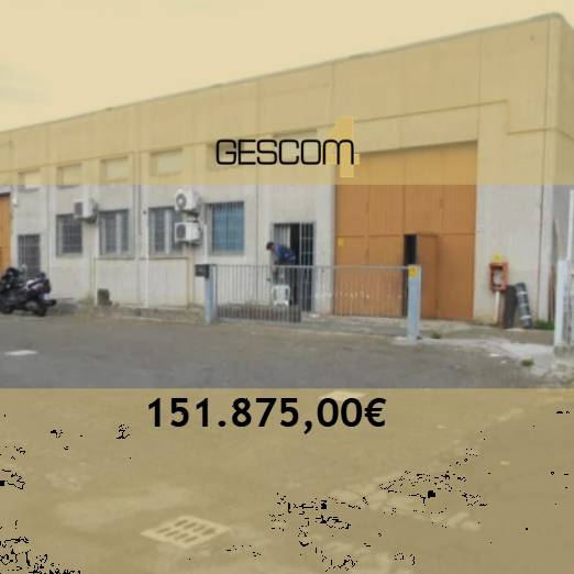  - foto 2