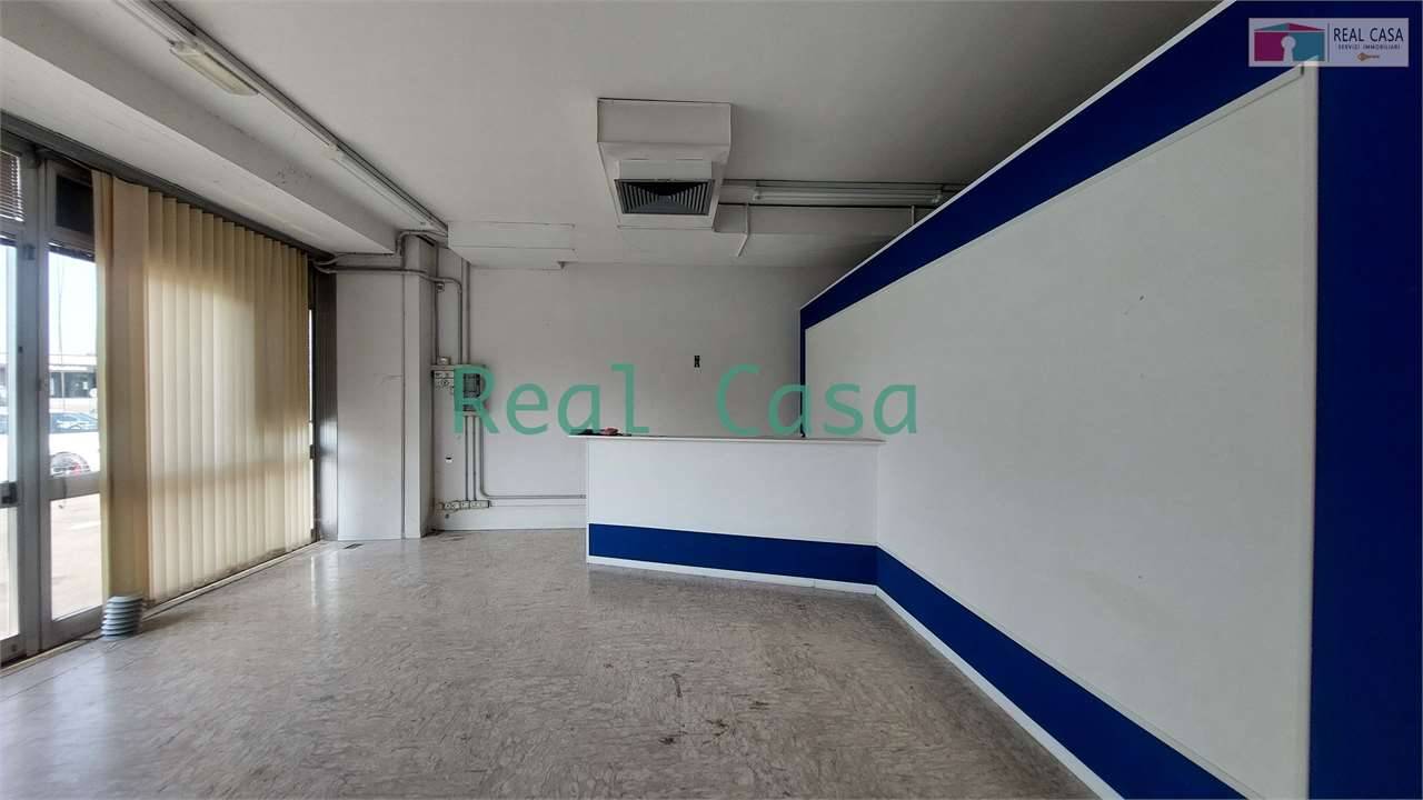  - foto 5