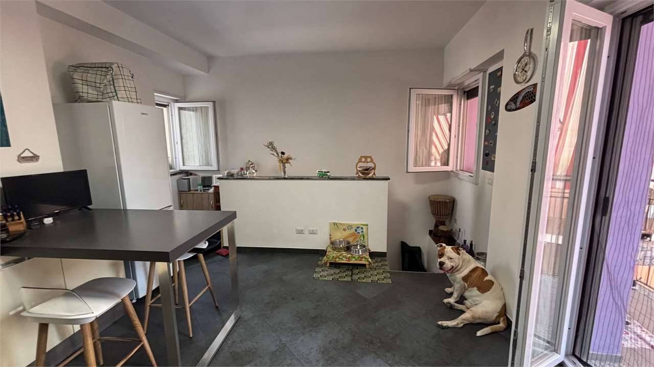  - foto 6