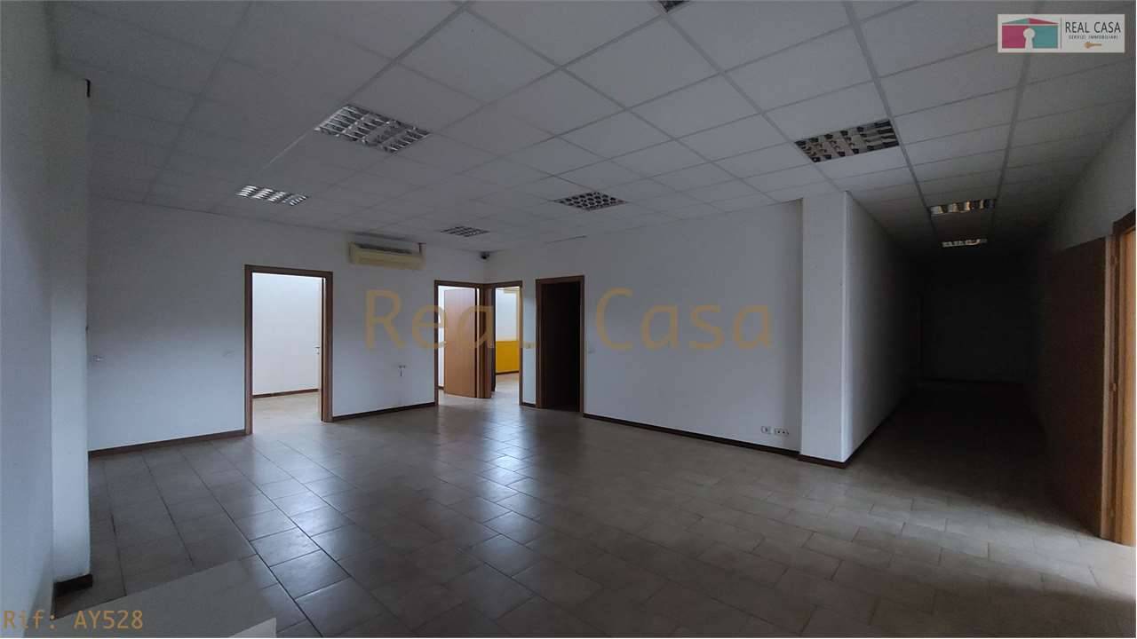  - foto 8