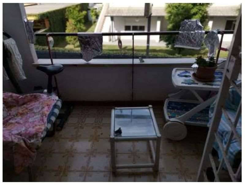  - foto 6